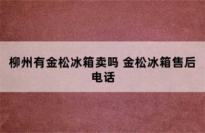 柳州有金松冰箱卖吗 金松冰箱售后电话